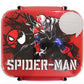 SpiderMan Sectional Food Container